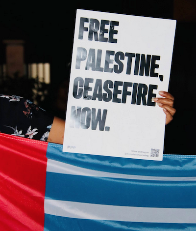 A "Free Palestine Ceasefire Now" placard at the Suva rally